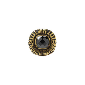 Champions of Everything Ring