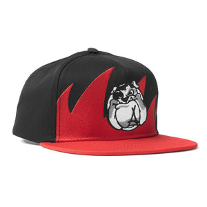 Waves Snapback